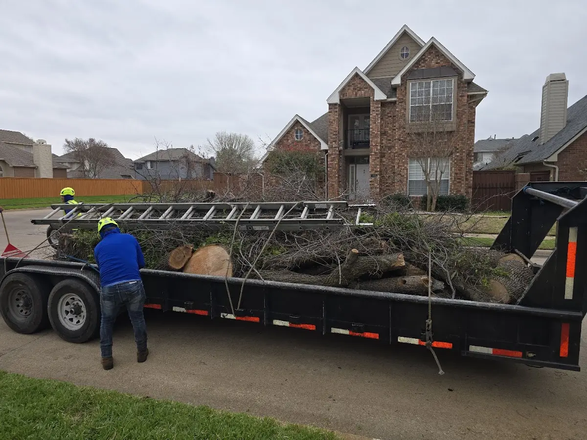 Expert Lot Clearing with proper safety equipment in Clear Brook